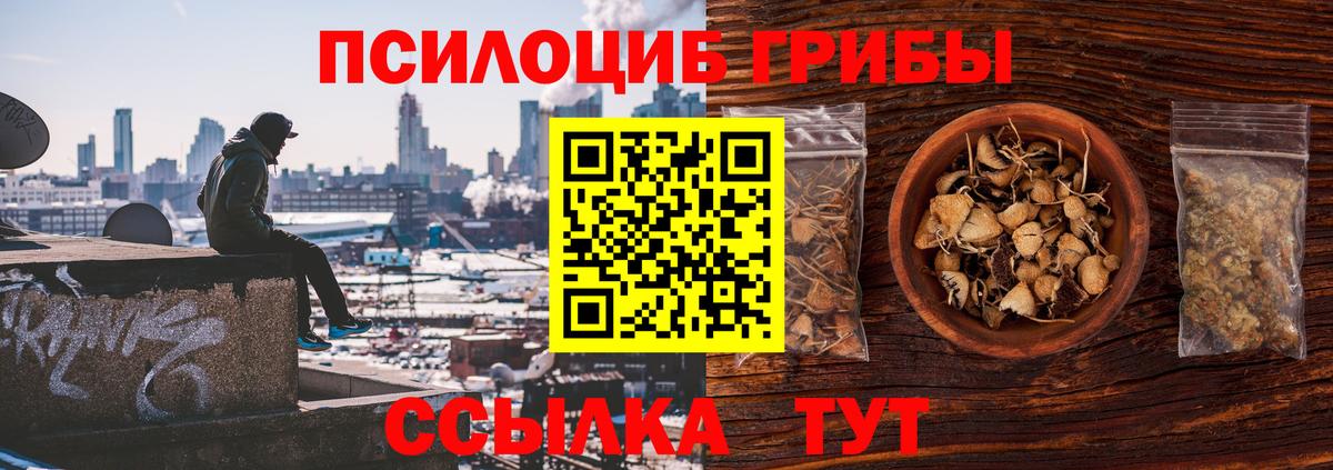 Псилоцибиновые грибы MAGIC MUSHROOMS  купить закладку  Истра  Вход с VPN  Псилоцибиновые грибы GOLDEN TEACHER 