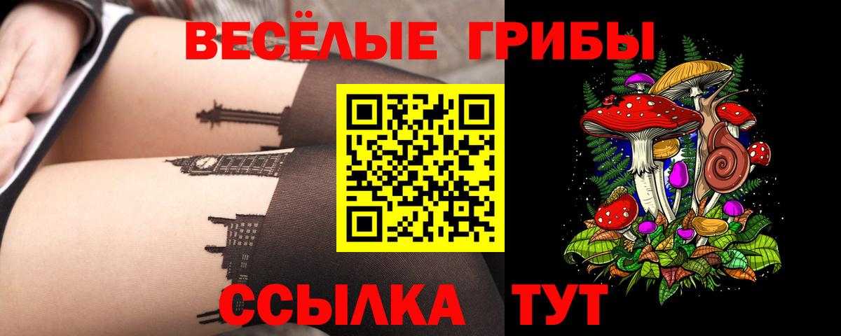Галлюциногенные грибы GOLDEN TEACHER Истра